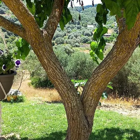 Lily Home_lefkada ~ Private